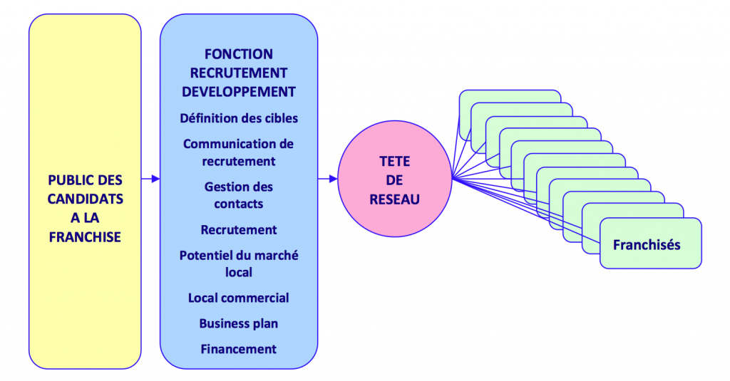 Les domaines de compétences de la fonction recrutement-développement